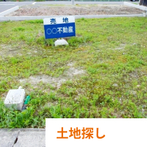 土地探し