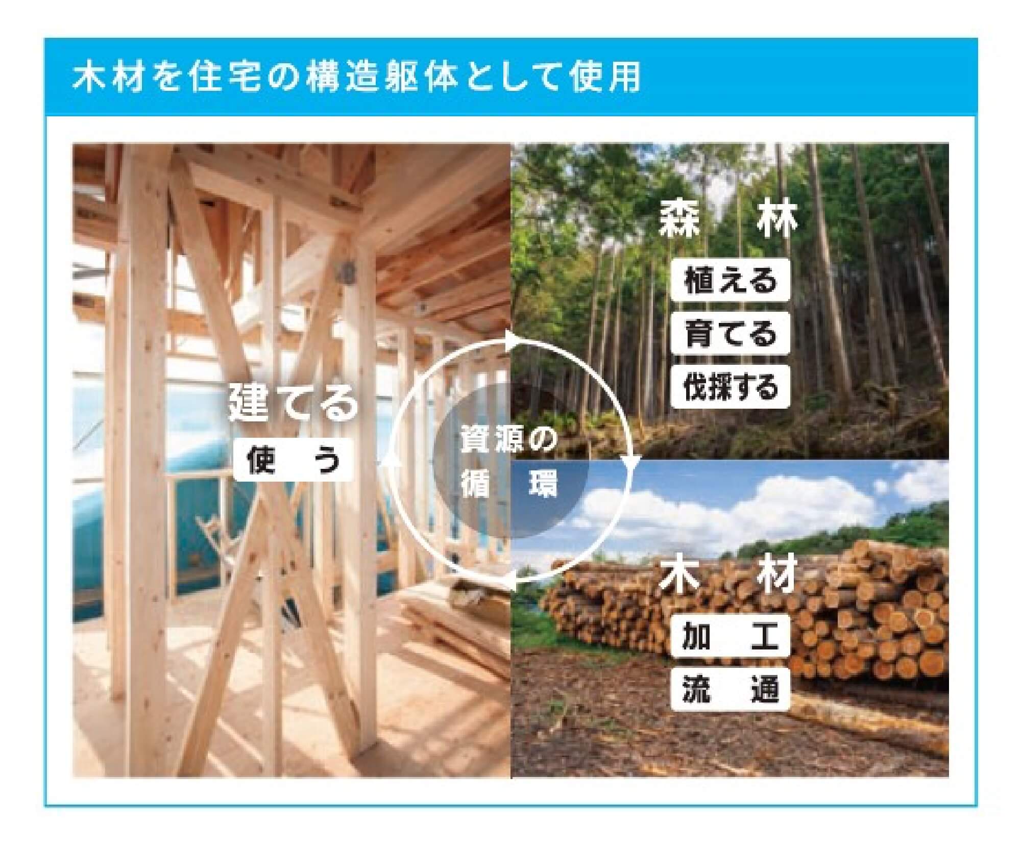 関連する社会問題